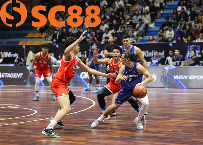 Cá Cược Bóng Rổ